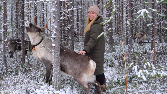 10 Activités Incontournables en Laponie en Hiver